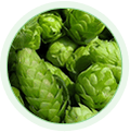 Hopextract